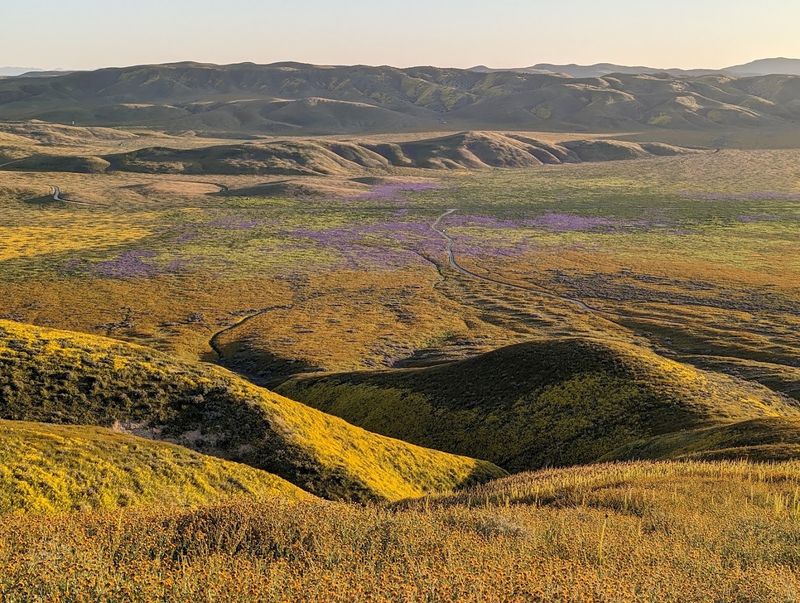 Carrizo Plain National Monument - Santa Margarita, California Carrizo Plain National Monument - Santa Margarita, California