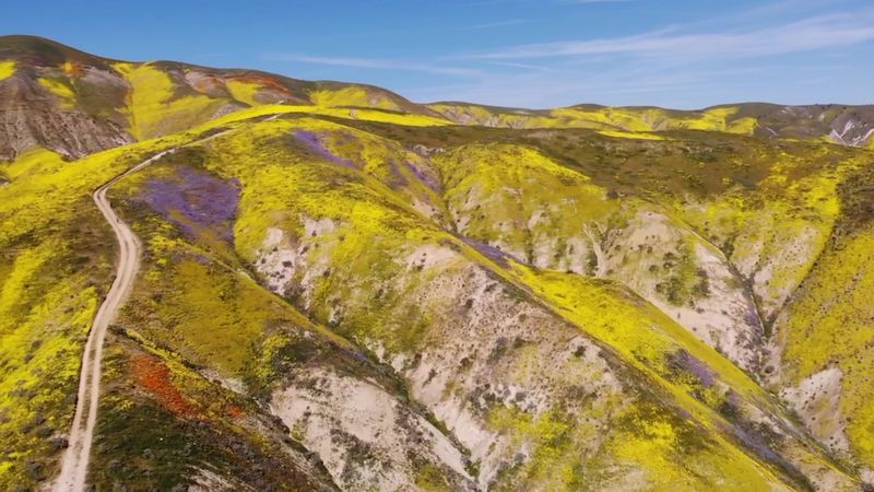 Carrizo Plain National Monument – San Luis Obispo County, California