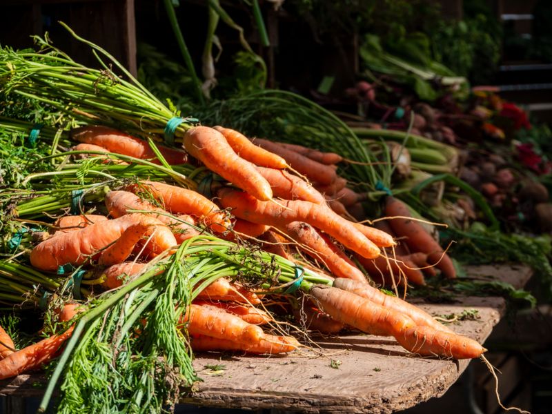 Carrots Carrots
