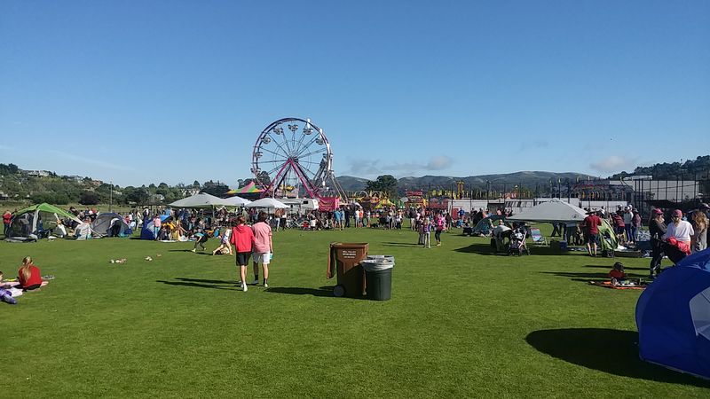 Catch Live Music at a Local Venue