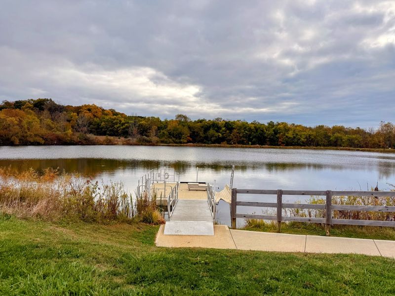 Catch-and-Release Fishing at the Pond