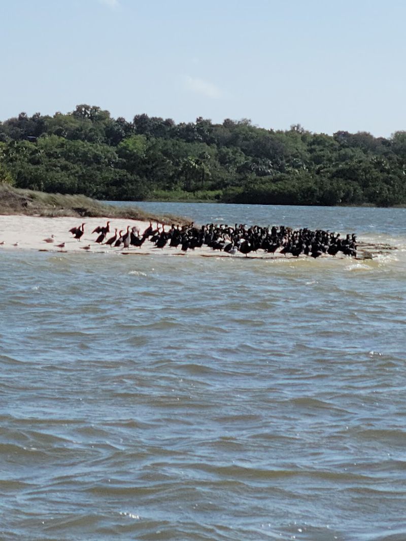 Cedar Key National Wildlife Refuge