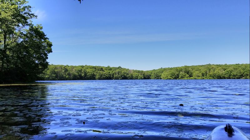 Cedar Lake: A Sparkling Gem in the Forest