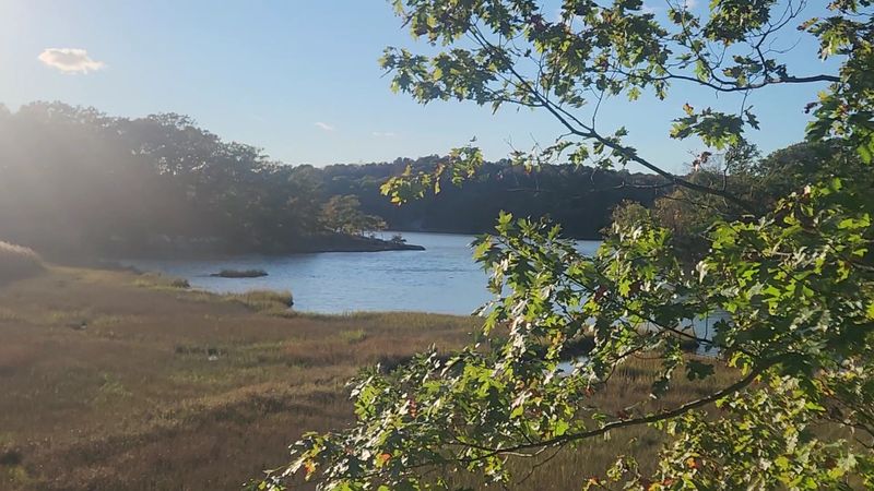 Cedar Lake: The Sparkling Heart of the Forest Cedar Lake: The Sparkling Heart of the Forest