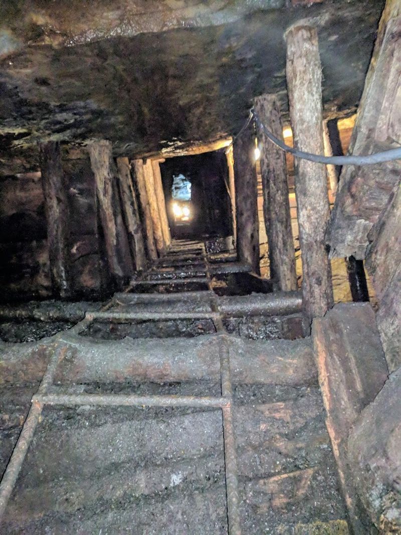 Centralia Connection and Regional History