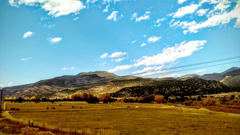 Chaffee County's Agricultural Heritage Feeds Salida's Kitchens Chaffee County's Agricultural Heritage Feeds Salida's Kitchens