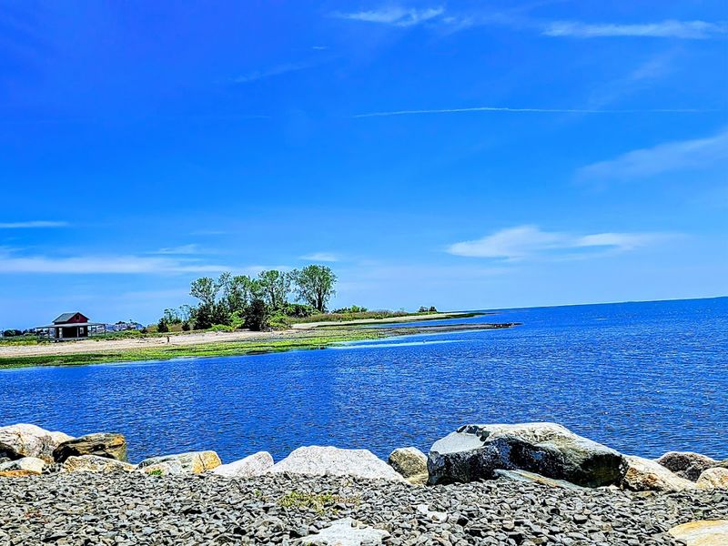 Chaffinch Island Park — Nature at Its Quietest Chaffinch Island Park — Nature at Its Quietest