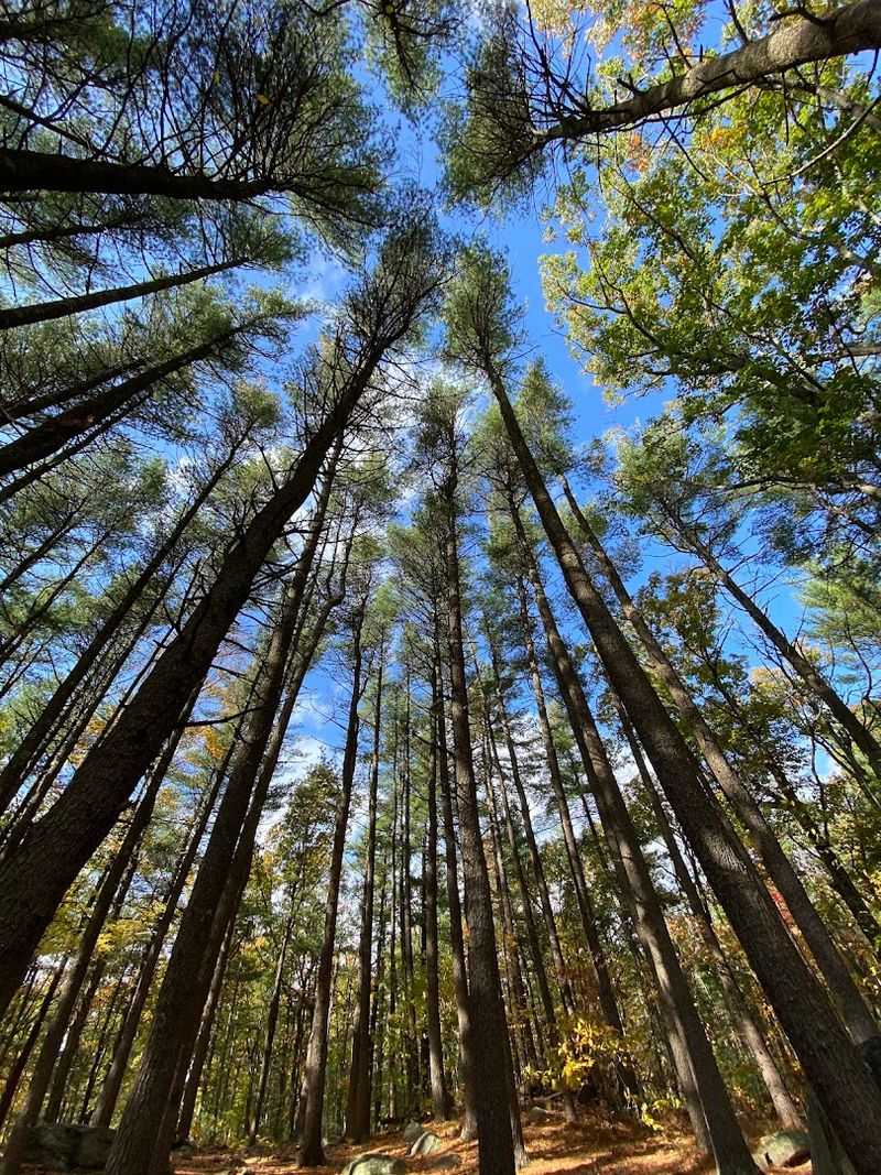Charley's Loop: The Peaceful Alternative