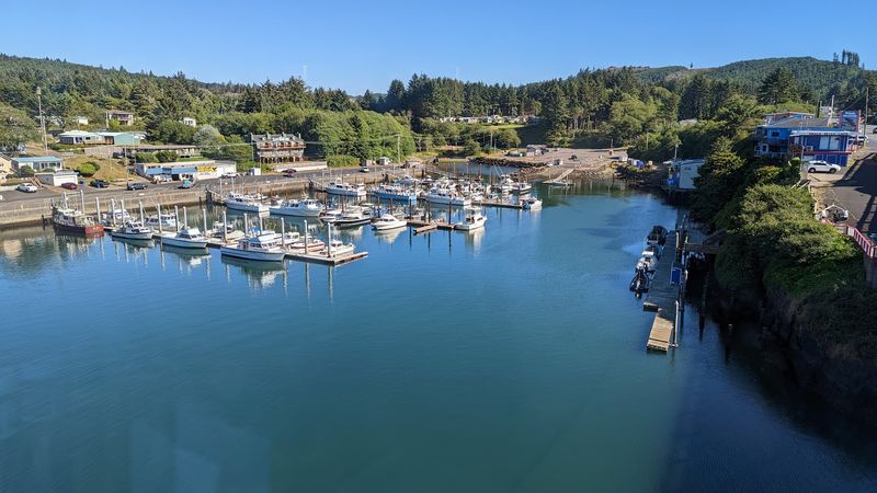 Charter Fishing Adventures for Every Skill Level