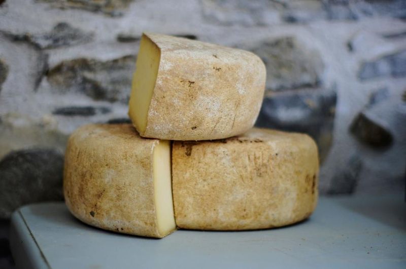 Cheese Cheese