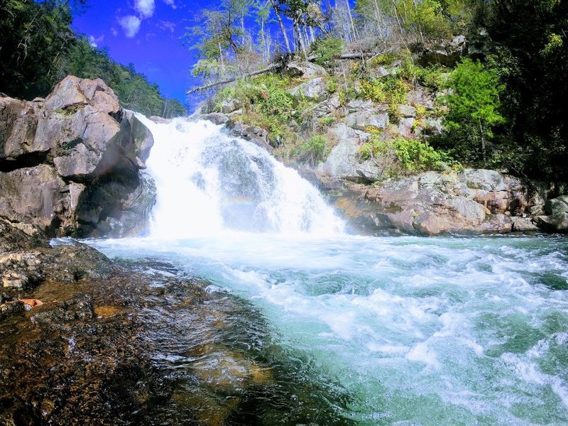 Choosing Your Trail: Beech Bottom vs. Jacks River Trailhead