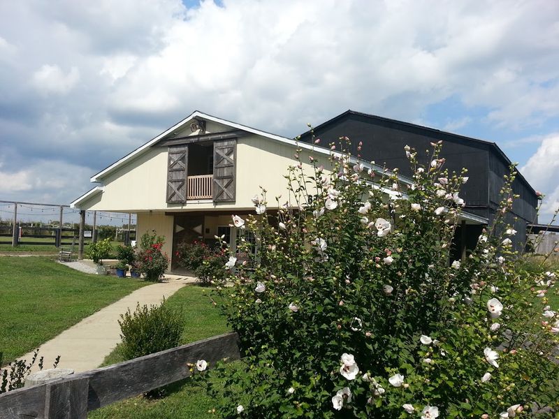 Chrisman Mill Vineyards – Lexington, Kentucky Chrisman Mill Vineyards – Lexington, Kentucky
