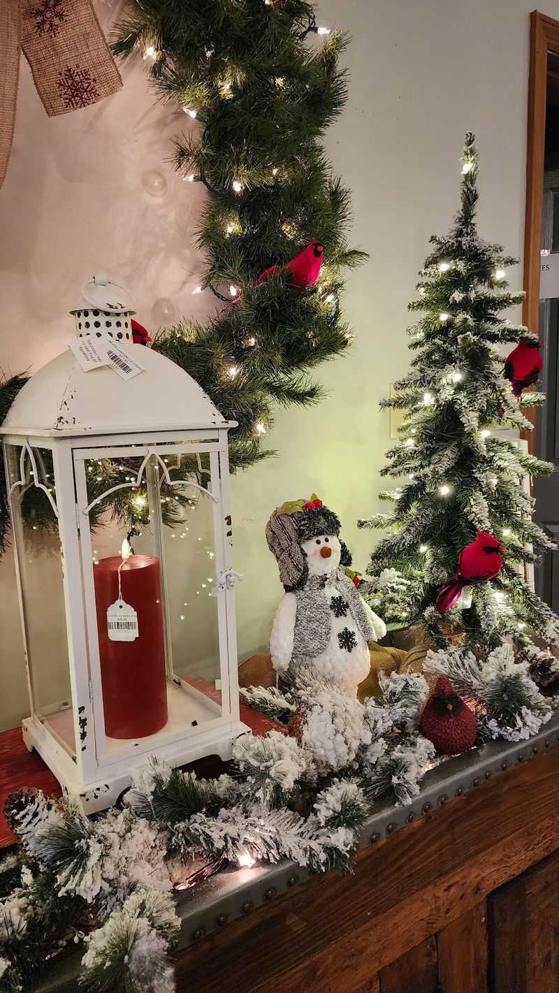 Christmas Trolley Rides and Holiday Fun