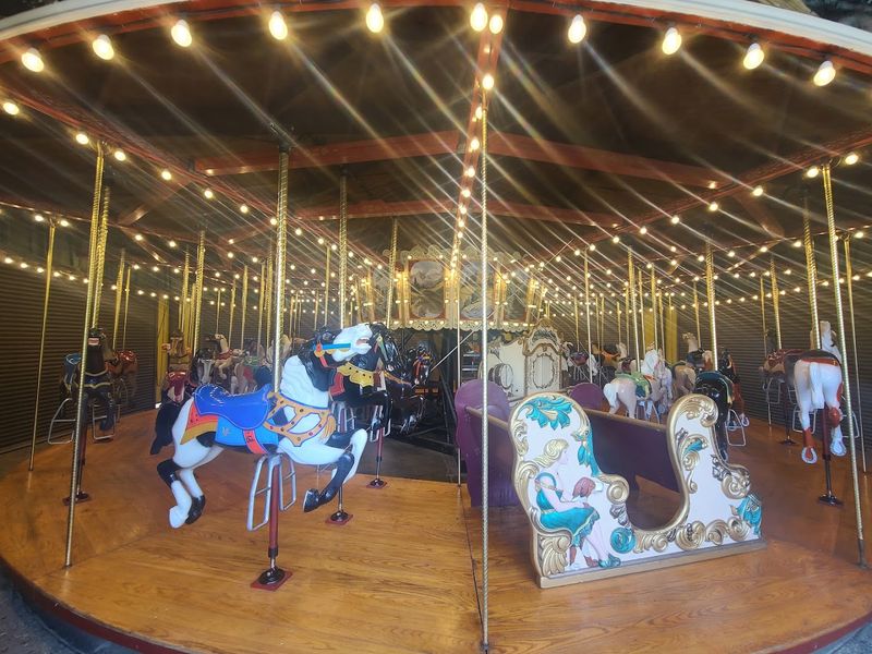 Classic Amusement Rides With a State Fair Vibe