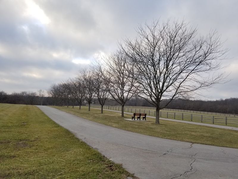 Clean Restrooms and Convenient Parking