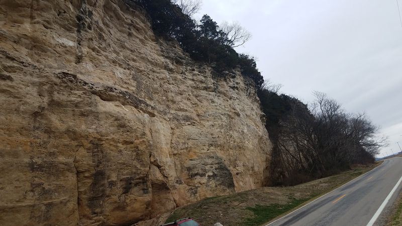 Cliff Swallows and the Living Ecosystem Around the Shelter