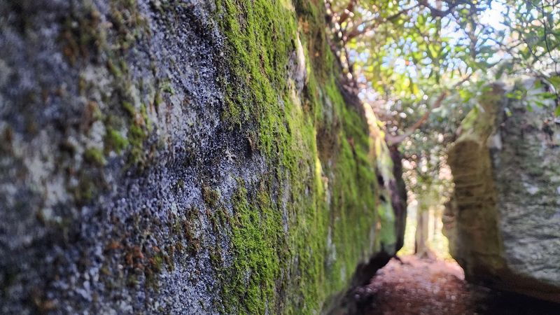 Climbing the Boulders: What You Need to Know