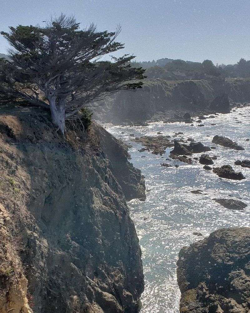 Coastal Bluff Trails With Breathtaking Ocean Views