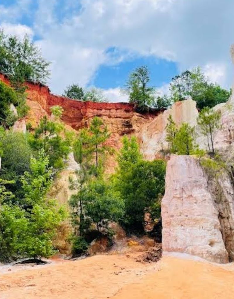 Colorful Canyon Walls That Look Like a Painting