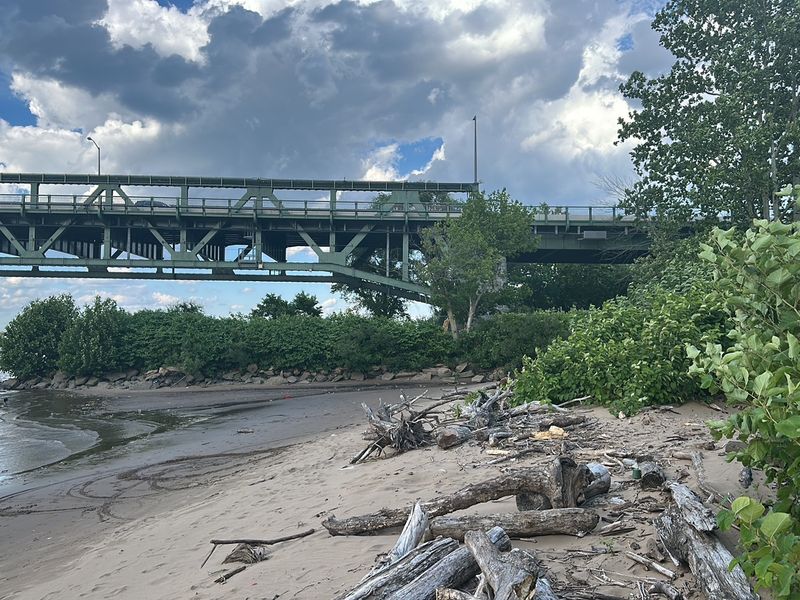 Community Cleanup and Conservation Efforts