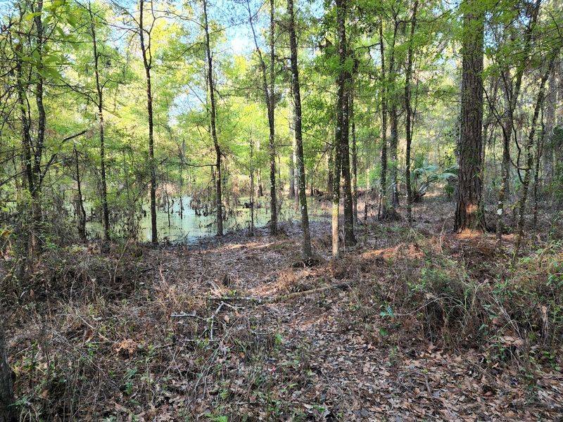 Connection to the Florida National Scenic Trail