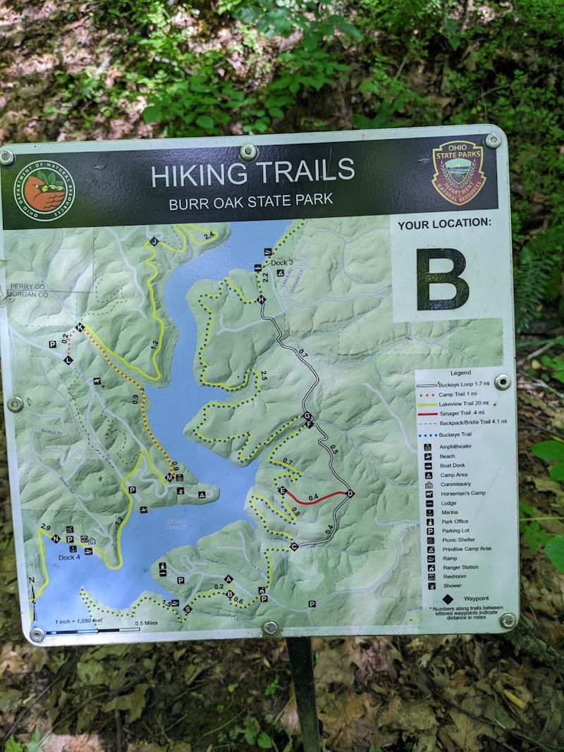 Connections to the Buckeye Trail: A Hiker's Dream Link Connections to the Buckeye Trail: A Hiker's Dream Link