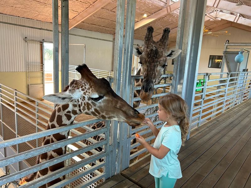 Conservation Education: Learning That Sticks Long After You Leave