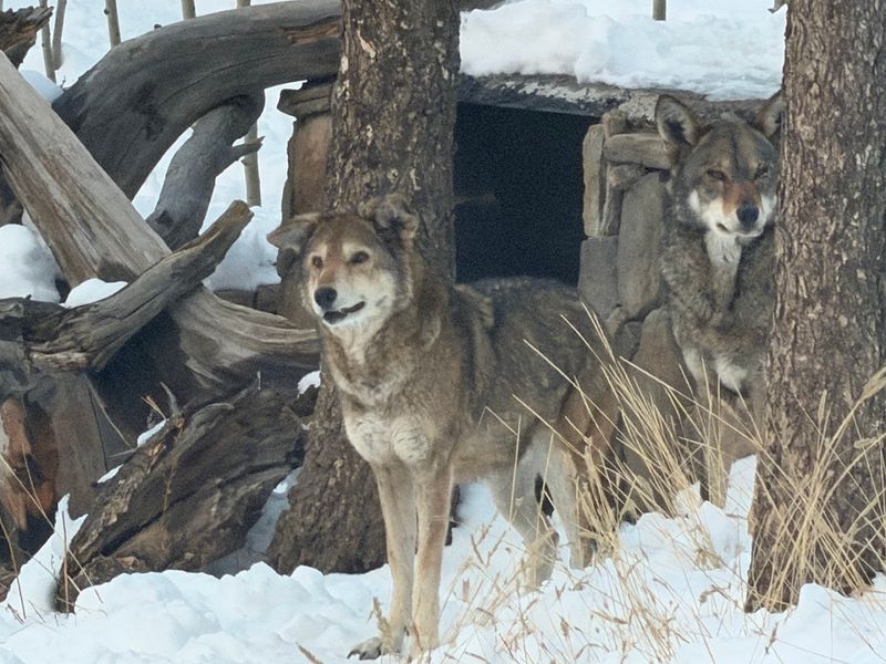 Conservation Education That Opens Your Eyes