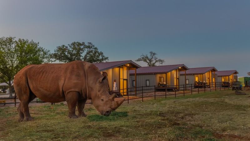Conservation at the Core: Your Stay Actually Makes a Difference