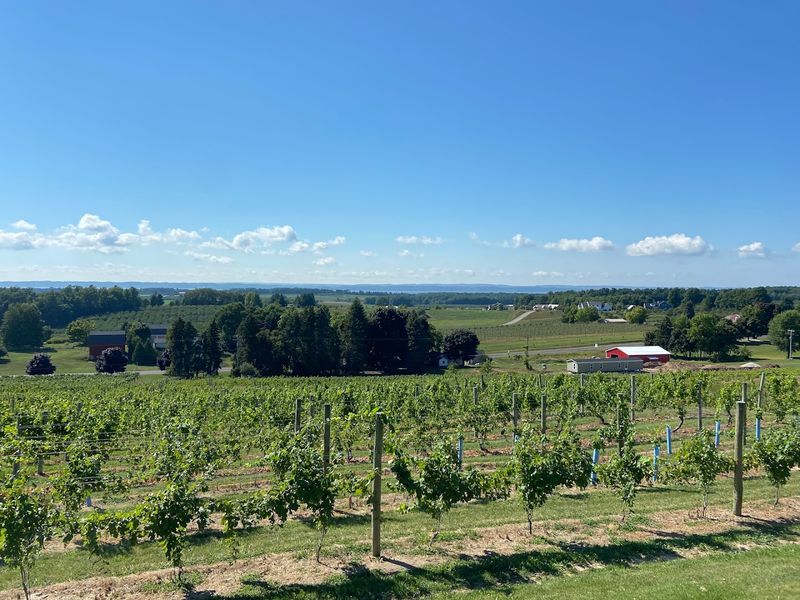 Convenient Location on the Old Mission Peninsula