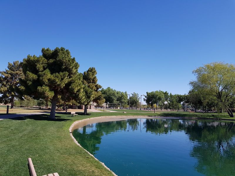 Cosmo Dog Park: Because Your Four-Legged Travel Buddy Deserves Fun Too