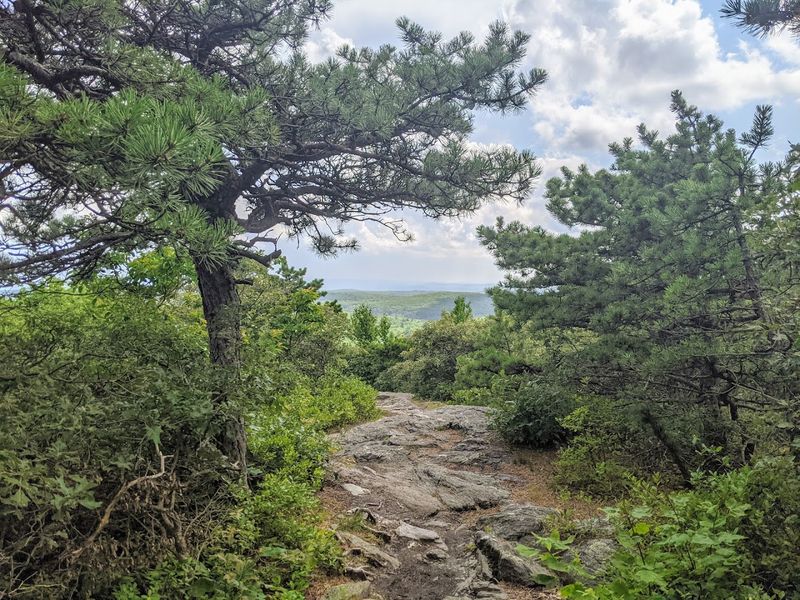 Counterclockwise Loop Strategy: The Smarter Way to Hike It