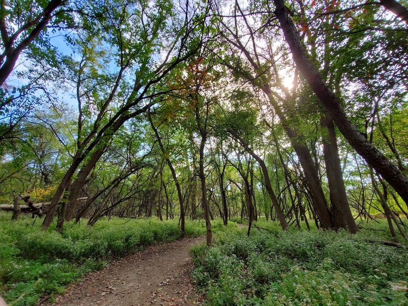 Cove Trail Adventure