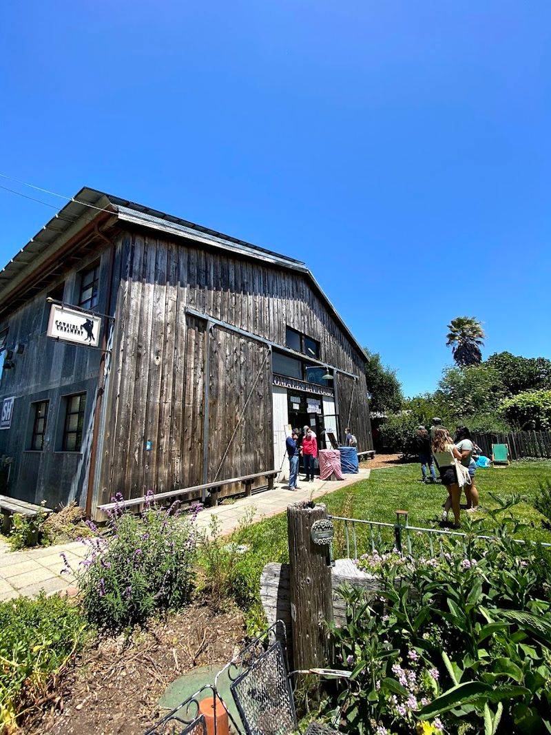 Cowgirl Creamery: Where Cheese Becomes an Experience