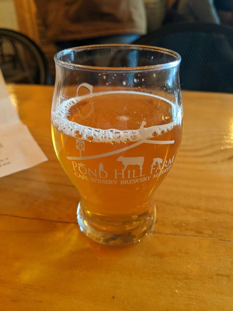 Craft Beer and Hard Cider for Every Taste