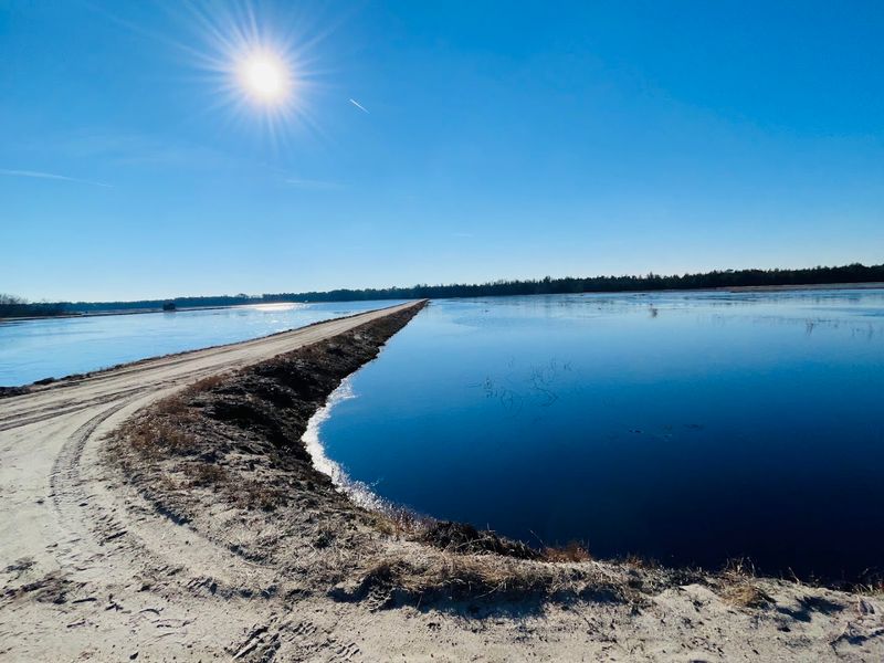 Cranberry Bogs That Reflect the Entire Sky Cranberry Bogs That Reflect the Entire Sky