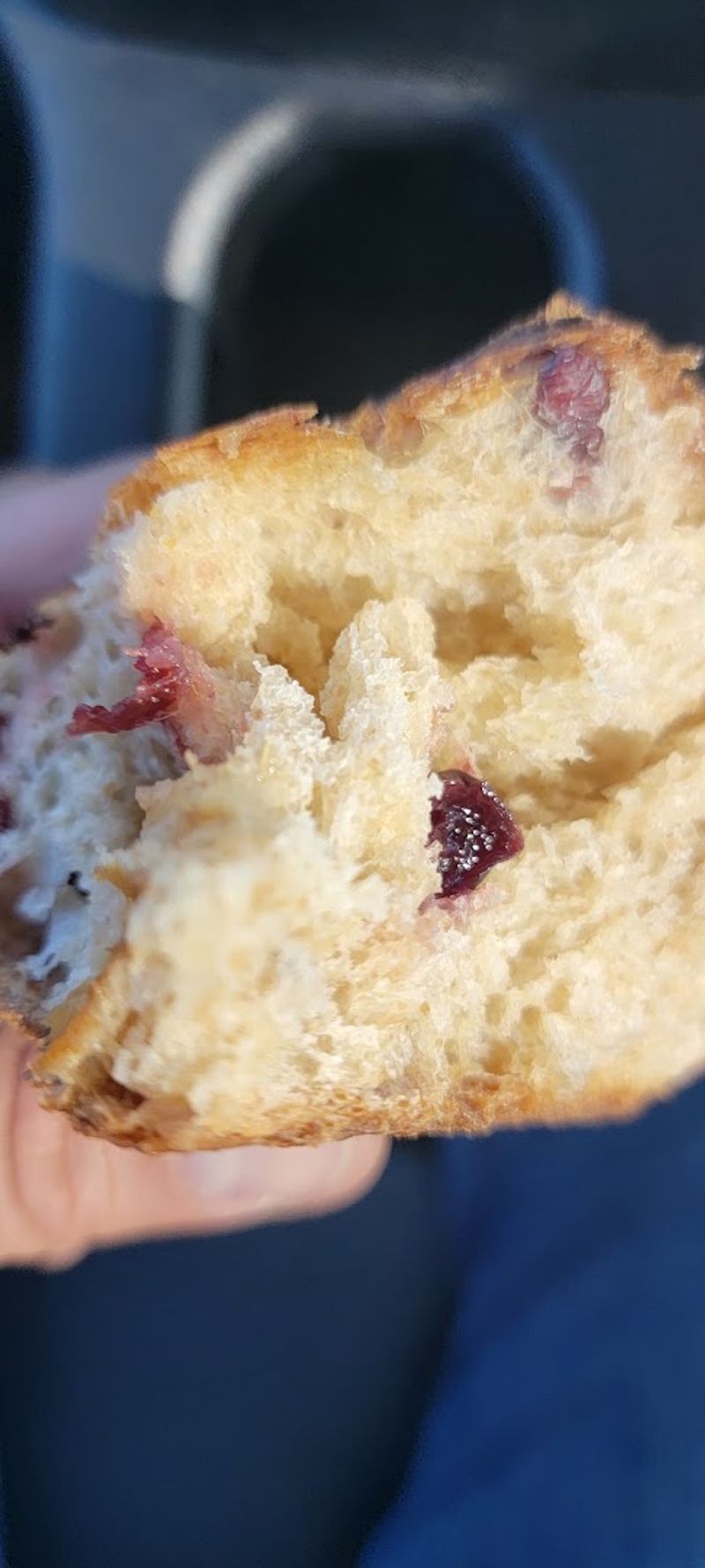 Cranberry Walnut Bread: Sweet, Nutty, and Absolutely Dreamy Cranberry Walnut Bread: Sweet, Nutty, and Absolutely Dreamy