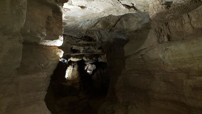Crawling Into the Dark: What to Expect Inside Crawling Into the Dark: What to Expect Inside