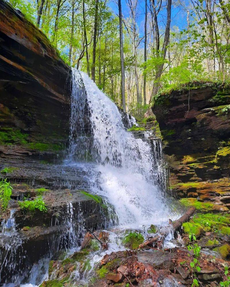 Creeks and Streams That Feel Like Pure Magic Creeks and Streams That Feel Like Pure Magic