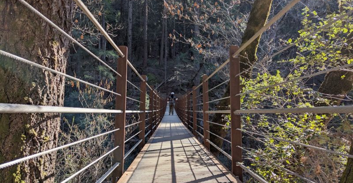 Cross A Suspension Bridge To Reach One Of Californias Most Spectacular Hidden Landscapes