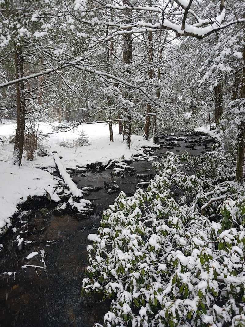 Cross-Country Skiing When Winter Transforms the Park