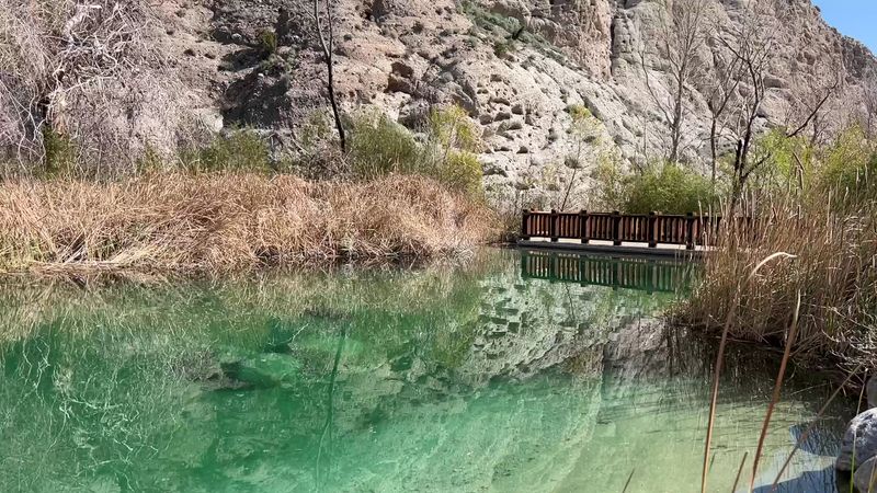 Crystal-Clear Ponds That Look Almost Too Beautiful to Be Real