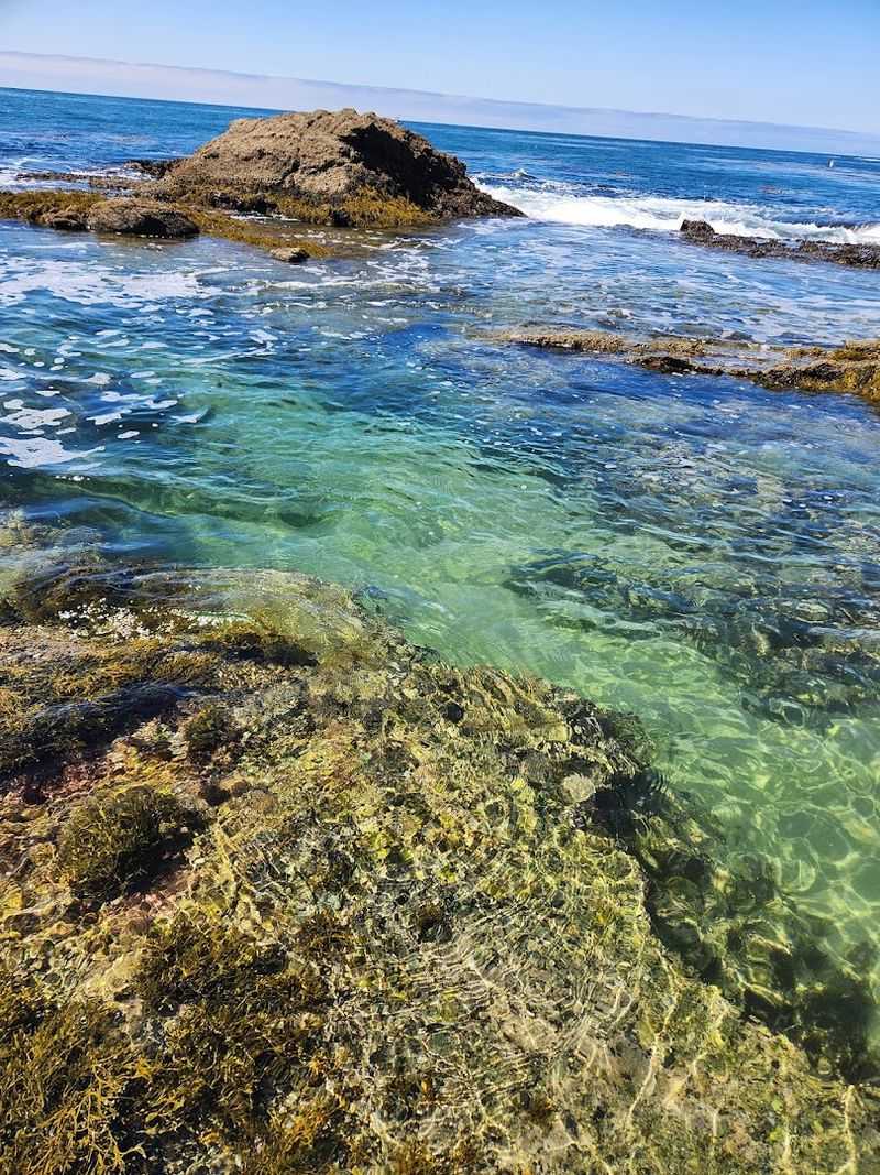Crystal Clear Water That Practically Glows