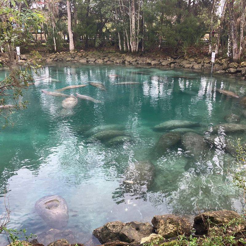 Crystal River, Florida
