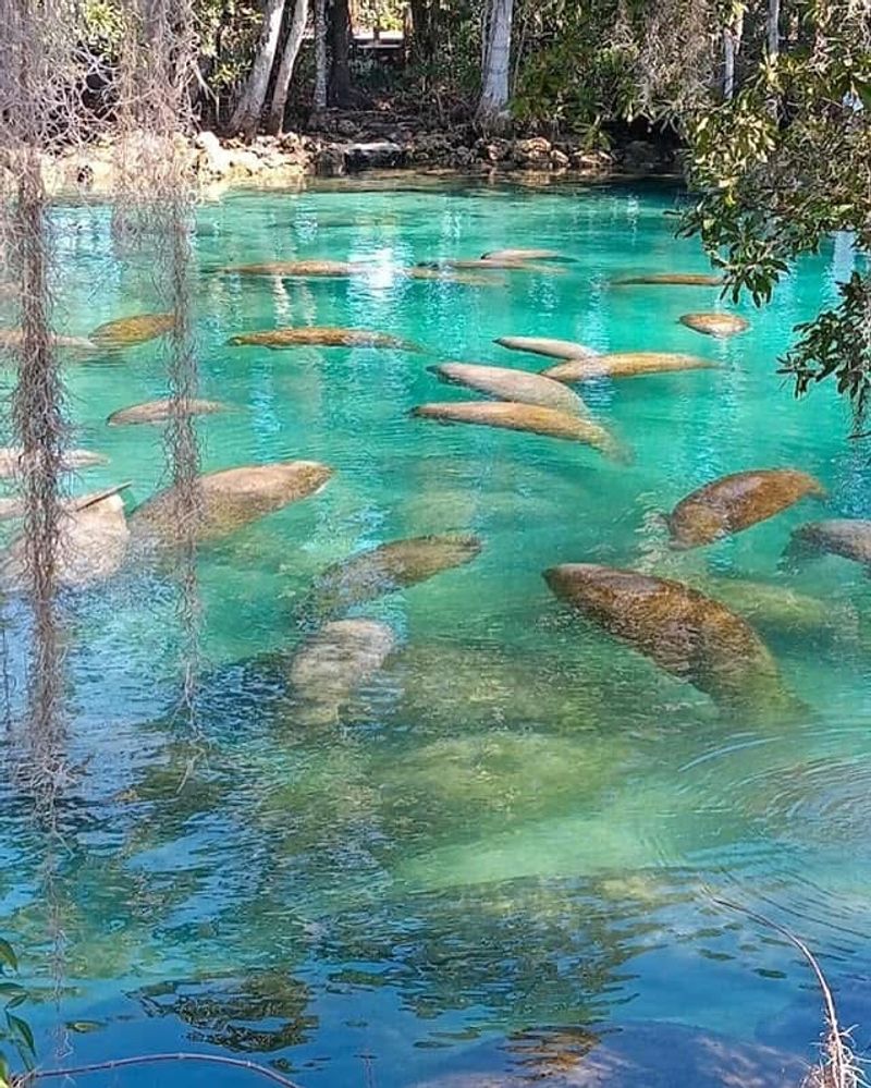 Crystal River, Florida