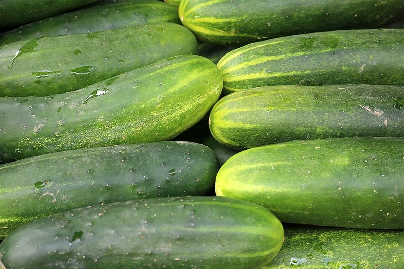 Cucumber Cucumber