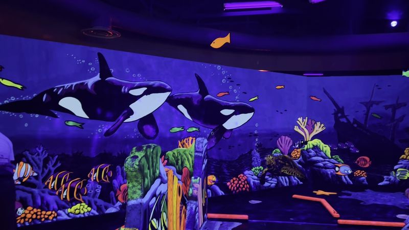 Custom 3D Glasses Included With Every Visit Custom 3D Glasses Included With Every Visit