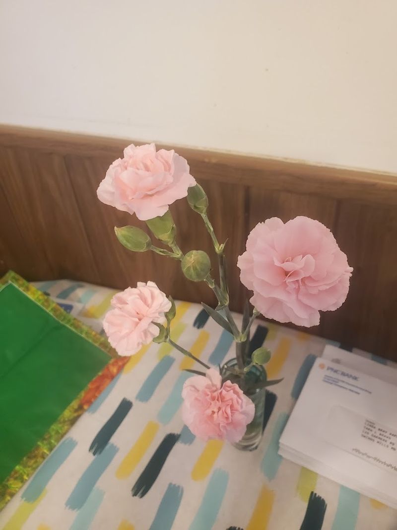 Customer Service That Goes Above and Beyond