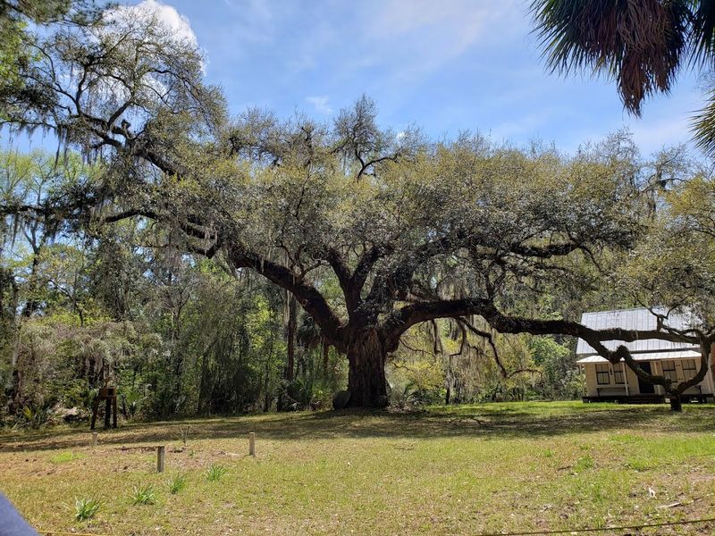 Cycling Along The Island's Shaded Trails