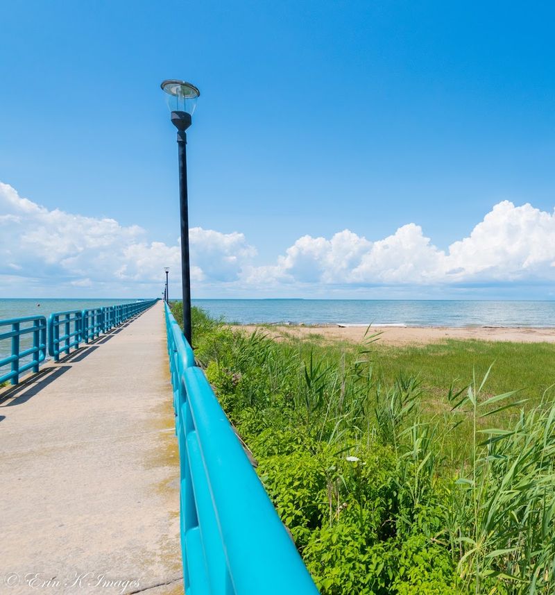 Cycling the Thumb Area Birding Trail